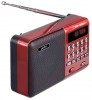  Perfeo (PF_A4871) Palm  FM/MP  USB   18650 - -     - RegionRF - 