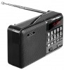  Perfeo (PF_A4870) Palm  FM/MP  USB   18650 - -     - RegionRF - 