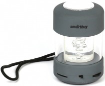   SmartBuy SBS-1010 CANDY PUNK . (MP3-, microSDHC,USB,FM-, 2.2 ) - -     - RegionRF - 