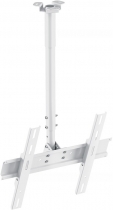   LCD TV  HOLDER PR-101-W   32"- 65", 60 ,    560-950. - -     - RegionRF - 